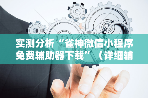 实测分析“雀神微信小程序免费辅助器下载”（详细辅助教程）-哔哩哔哩
