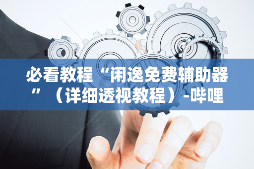 必看教程“闲逸免费辅助器”（详细透视教程）-哔哩哔哩