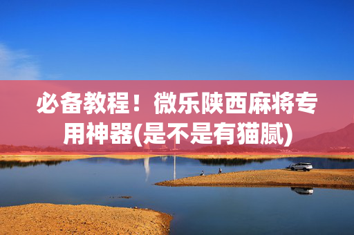 必备教程！微乐陕西麻将专用神器(是不是有猫腻)