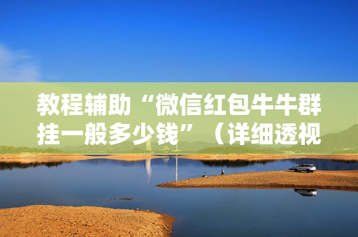 教程辅助“微信红包牛牛群挂一般多少钱”（详细透视教程）-哔哩哔哩