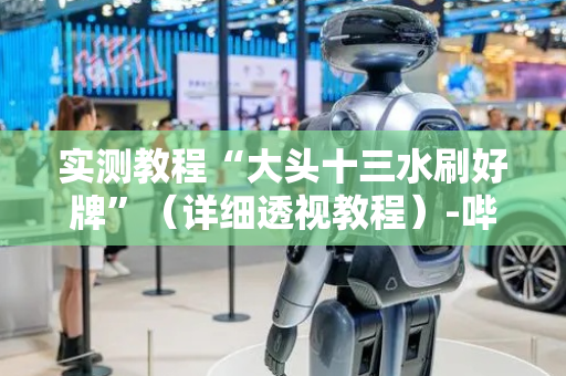 实测教程“大头十三水刷好牌”（详细透视教程）-哔哩哔哩