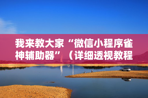 我来教大家“微信小程序雀神辅助器”（详细透视教程）-哔哩哔哩