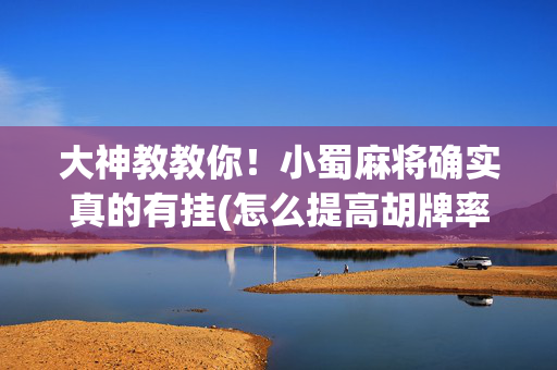 大神教教你！小蜀麻将确实真的有挂(怎么提高胡牌率)