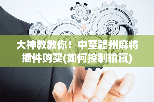 大神教教你！中至赣州麻将插件购买(如何控制输赢)
