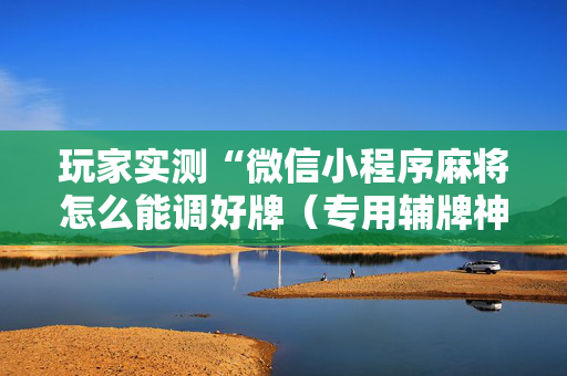 玩家实测“微信小程序麻将怎么能调好牌（专用辅牌神器免安装）