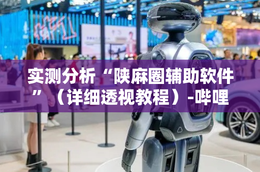 实测分析“陕麻圈辅助软件”（详细透视教程）-哔哩哔哩