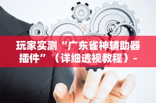 玩家实测“广东雀神辅助器插件”（详细透视教程）-哔哩哔哩
