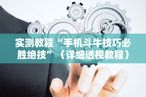 实测教程“手机斗牛技巧必胜绝技”（详细透视教程）-哔哩哔哩