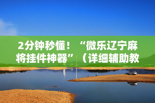 2分钟秒懂！“微乐辽宁麻将挂件神器”（详细辅助教程）-哔哩哔哩