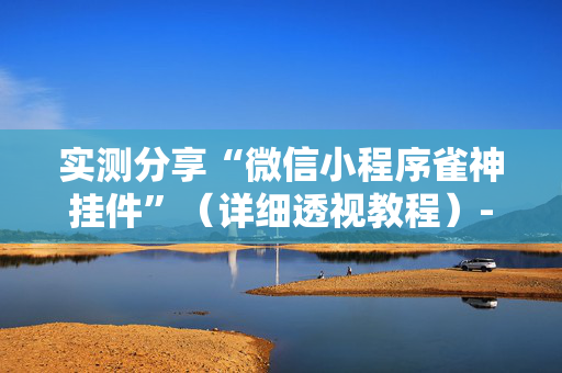 实测分享“微信小程序雀神挂件”（详细透视教程）-哔哩哔哩