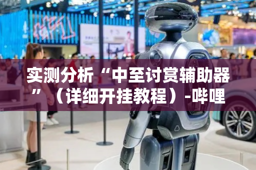 实测分析“中至讨赏辅助器”（详细开挂教程）-哔哩哔哩