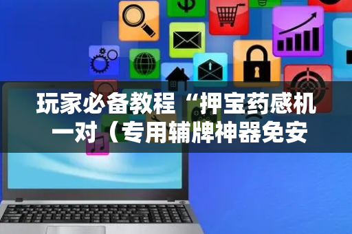 玩家必备教程“押宝药感机 一对（专用辅牌神器免安装）