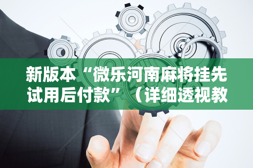新版本“微乐河南麻将挂先试用后付款”（详细透视教程）-哔哩哔哩