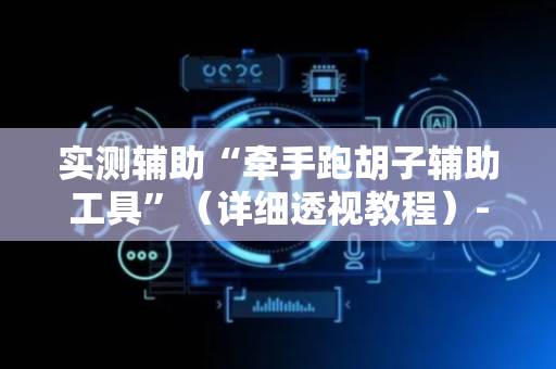 实测辅助“牵手跑胡子辅助工具”（详细透视教程）-哔哩哔哩