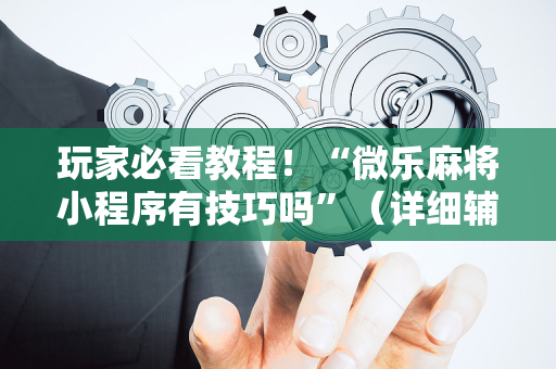 玩家必看教程！“微乐麻将小程序有技巧吗”（详细辅助教程）-哔哩哔哩