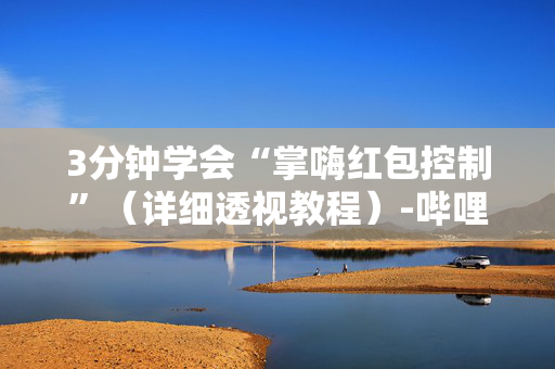 3分钟学会“掌嗨红包控制”（详细透视教程）-哔哩哔哩