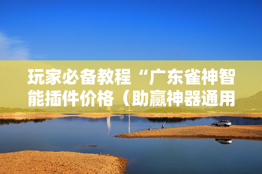 玩家必备教程“广东雀神智能插件价格（助赢神器通用版）