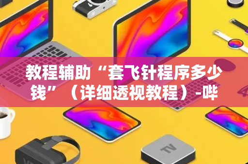教程辅助“套飞针程序多少钱”（详细透视教程）-哔哩哔哩