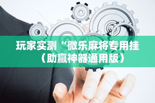 玩家实测“微乐麻将专用挂（助赢神器通用版）