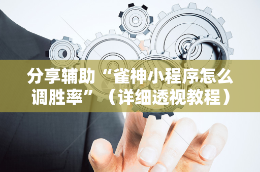 分享辅助“雀神小程序怎么调胜率”（详细透视教程）-哔哩哔哩