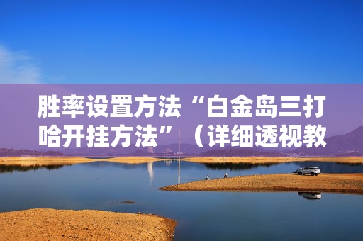 胜率设置方法“白金岛三打哈开挂方法”（详细透视教程）-哔哩哔哩