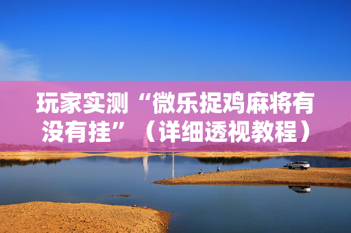 玩家实测“微乐捉鸡麻将有没有挂”（详细透视教程）-哔哩哔哩