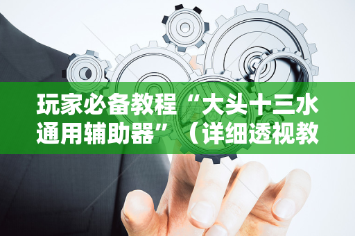 玩家必备教程“大头十三水通用辅助器”（详细透视教程）-哔哩哔哩