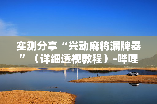 实测分享“兴动麻将漏牌器”（详细透视教程）-哔哩哔哩