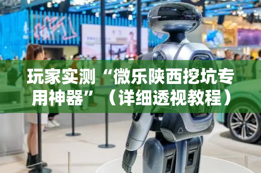 玩家实测“微乐陕西挖坑专用神器”（详细透视教程）-哔哩哔哩