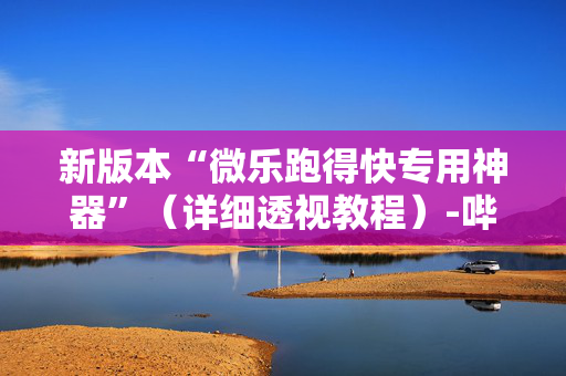 新版本“微乐跑得快专用神器”（详细透视教程）-哔哩哔哩
