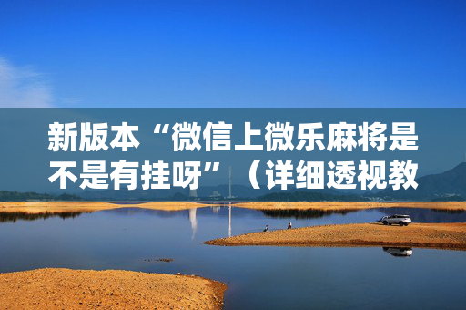 新版本“微信上微乐麻将是不是有挂呀”（详细透视教程）-哔哩哔哩