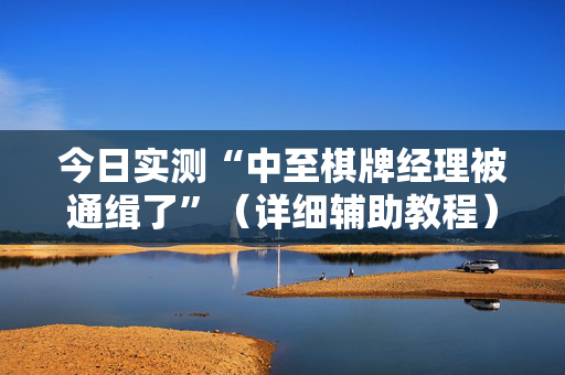 今日实测“中至棋牌经理被通缉了”（详细辅助教程）-哔哩哔哩