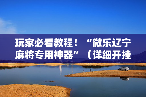 玩家必看教程！“微乐辽宁麻将专用神器”（详细开挂教程）-哔哩哔哩