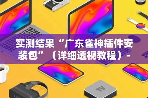 实测结果“广东雀神插件安装包”（详细透视教程）-哔哩哔哩