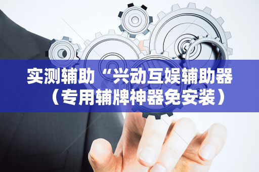 实测辅助“兴动互娱辅助器（专用辅牌神器免安装）