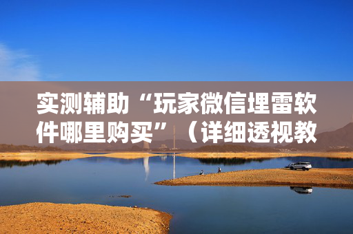 实测辅助“玩家微信埋雷软件哪里购买”（详细透视教程）-哔哩哔哩