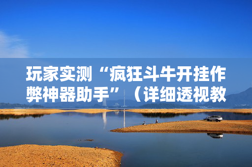 玩家实测“疯狂斗牛开挂作弊神器助手”（详细透视教程）-哔哩哔哩