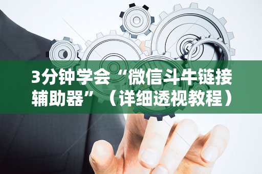 3分钟学会“微信斗牛链接辅助器”（详细透视教程）-哔哩哔哩