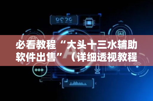 必看教程“大头十三水辅助软件出售”（详细透视教程）-哔哩哔哩