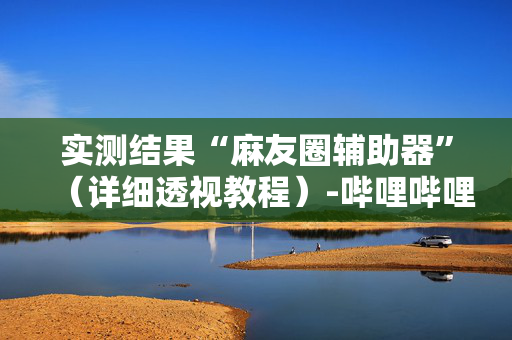 实测结果“麻友圈辅助器”（详细透视教程）-哔哩哔哩