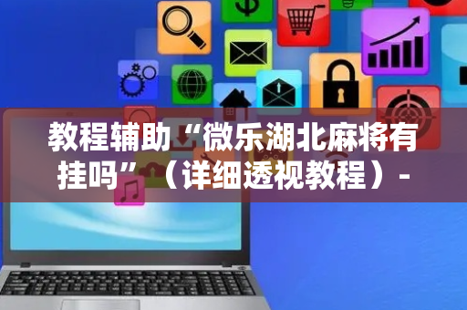 教程辅助“微乐湖北麻将有挂吗”（详细透视教程）-哔哩哔哩