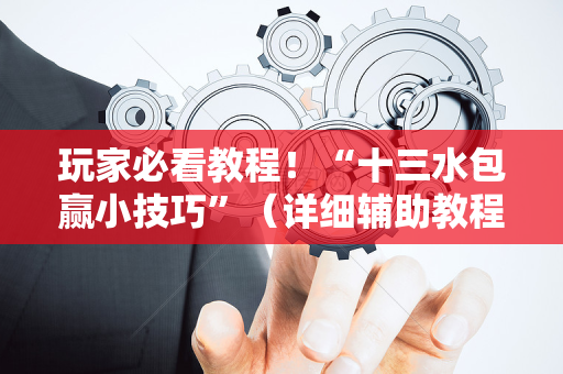 玩家必看教程！“十三水包赢小技巧”（详细辅助教程）-哔哩哔哩