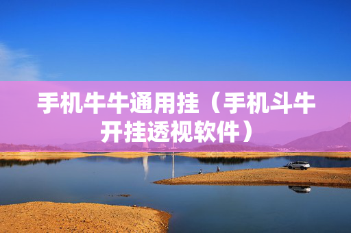 手机牛牛通用挂（手机斗牛开挂透视软件）