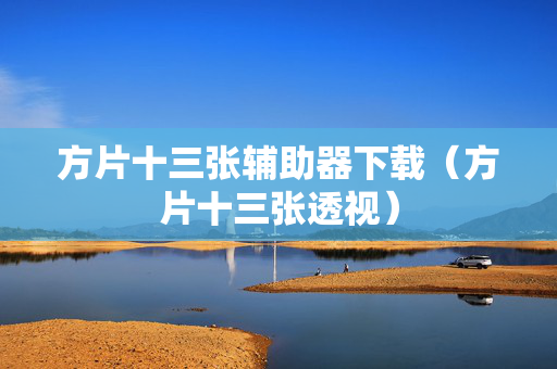 方片十三张辅助器下载（方片十三张透视）