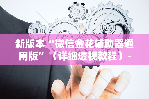 新版本“微信金花辅助器通用版”（详细透视教程）-哔哩哔哩