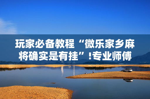 玩家必备教程“微乐家乡麻将确实是有挂”!专业师傅带你一起了解（详细教程）-抖音
