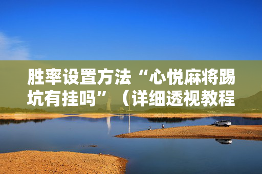 胜率设置方法“心悦麻将踢坑有挂吗”（详细透视教程）-哔哩哔哩