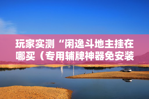 玩家实测“闲逸斗地主挂在哪买（专用辅牌神器免安装）