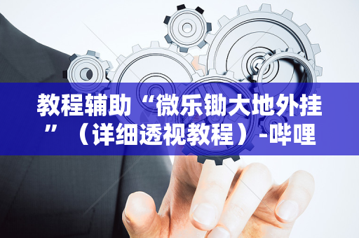 教程辅助“微乐锄大地外挂”（详细透视教程）-哔哩哔哩