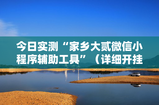 今日实测“家乡大贰微信小程序辅助工具”（详细开挂教程）-哔哩哔哩